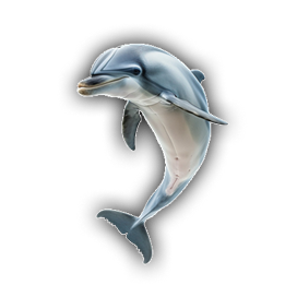 Dolphin Left
