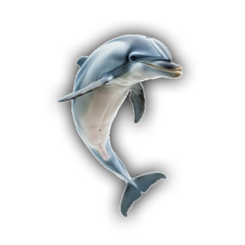 Dolphin Right